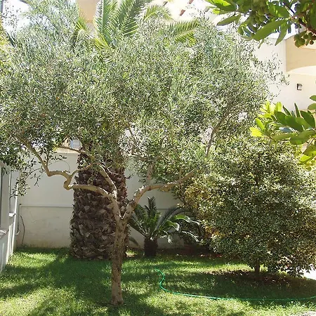 Bed & Breakfast Residenza Del Sole Surbo