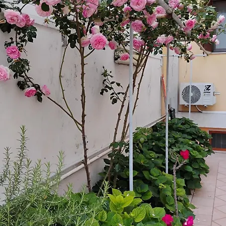 Residenza Del Sole Bed & Breakfast 3*